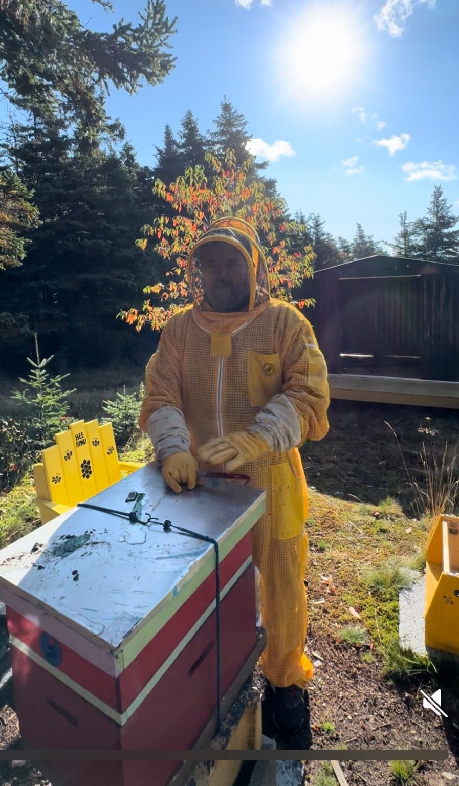 Mike Beekeeping 2